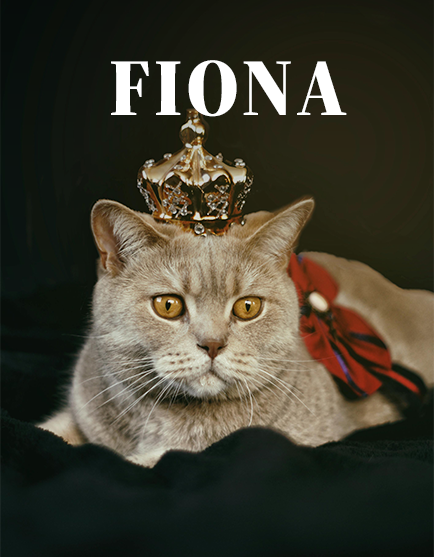 fiona_spotlight