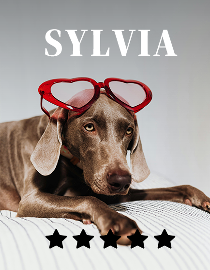 sylvia_spotlight